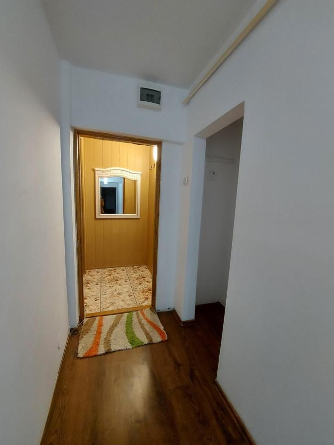 דירות סוסאבה Bucovina Confort Apartament מראה חיצוני תמונה