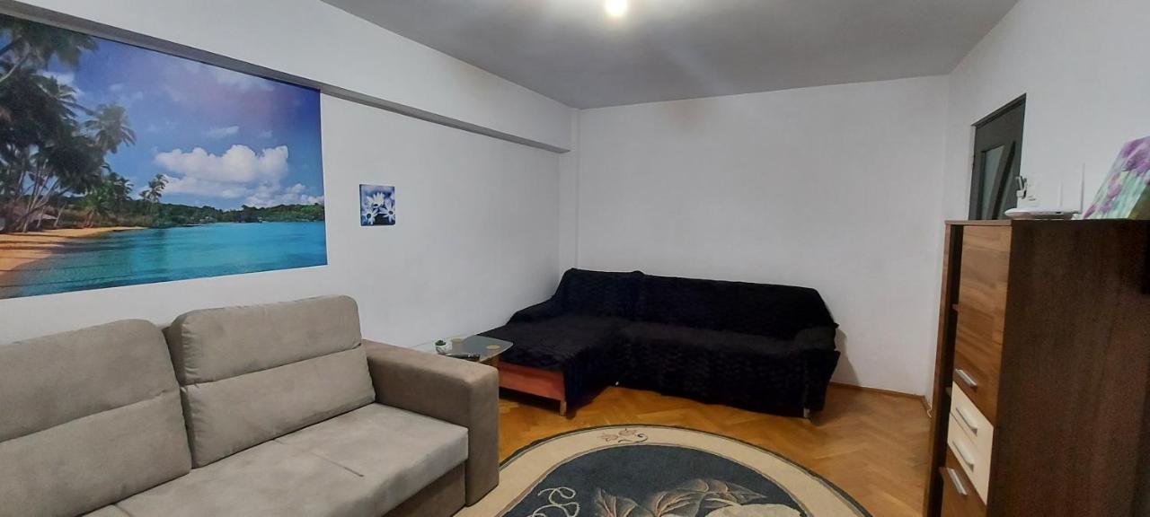 דירות סוסאבה Bucovina Confort Apartament מראה חיצוני תמונה
