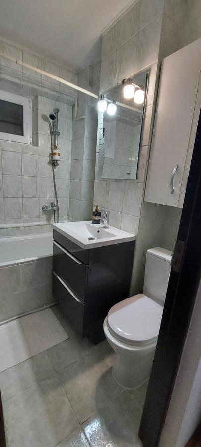 דירות סוסאבה Bucovina Confort Apartament מראה חיצוני תמונה