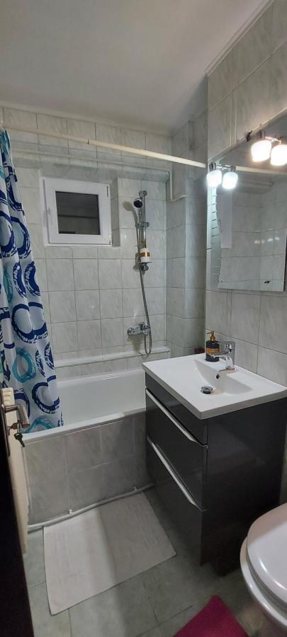 דירות סוסאבה Bucovina Confort Apartament מראה חיצוני תמונה